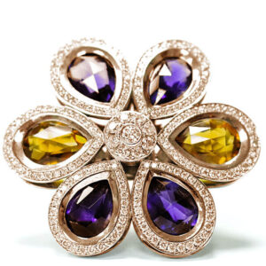 Sone Golden Earrings