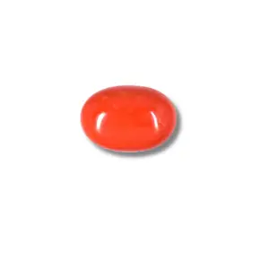 Red Coral (Moonga)