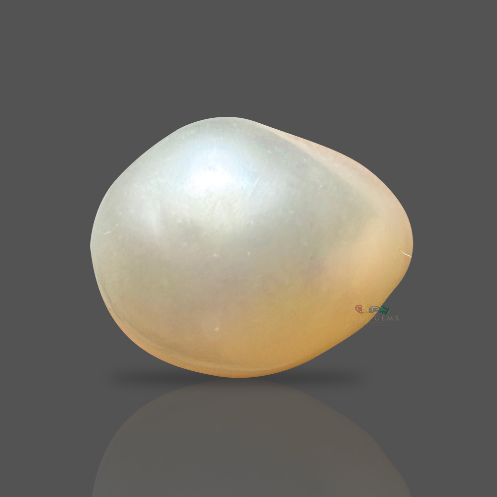 Pearl (Moti) 7.30